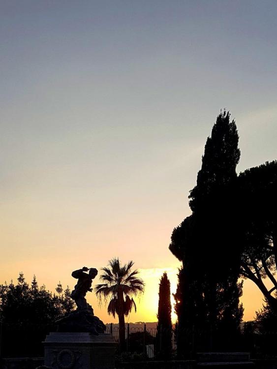 20180724_200728 vvv.jpg