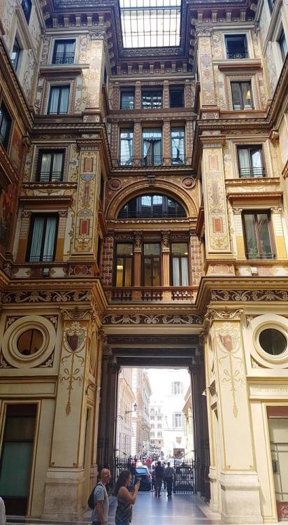 20180725_135826 v.jpg