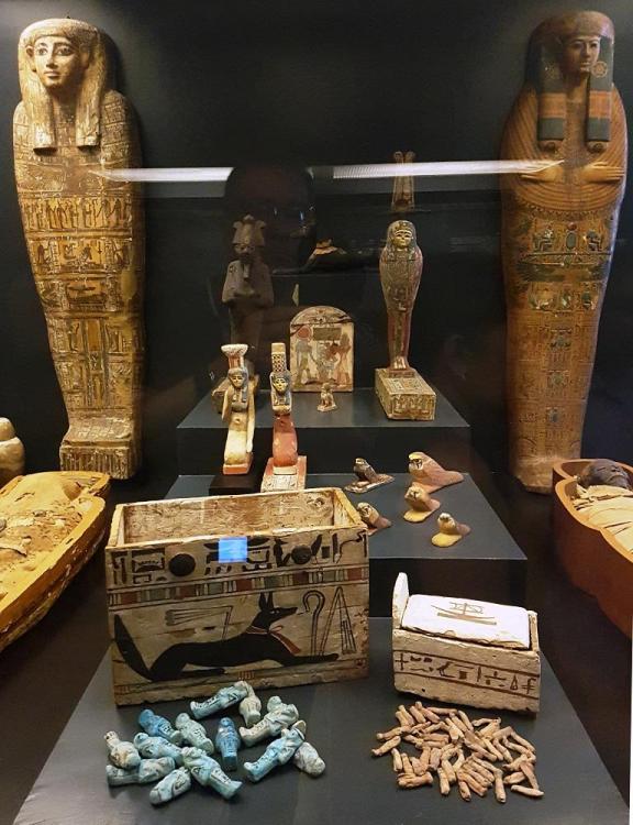 20180724_100647 v.jpg