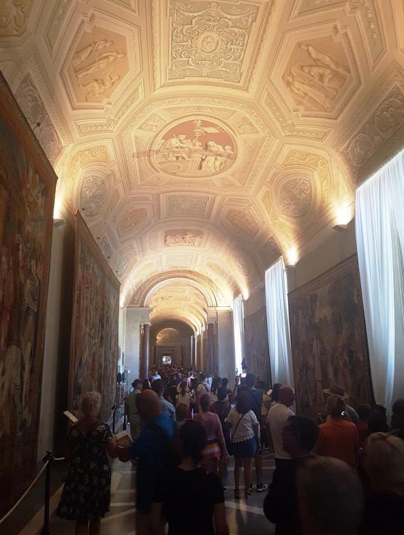 20180724_110535 v.jpg