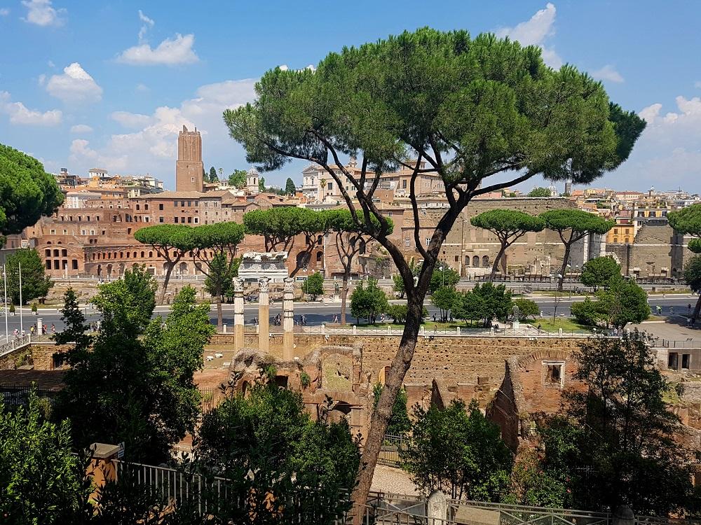 20180725_145206 v.jpg