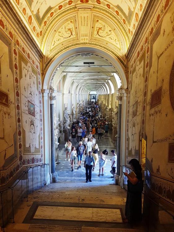 20180724_102556 v.jpg