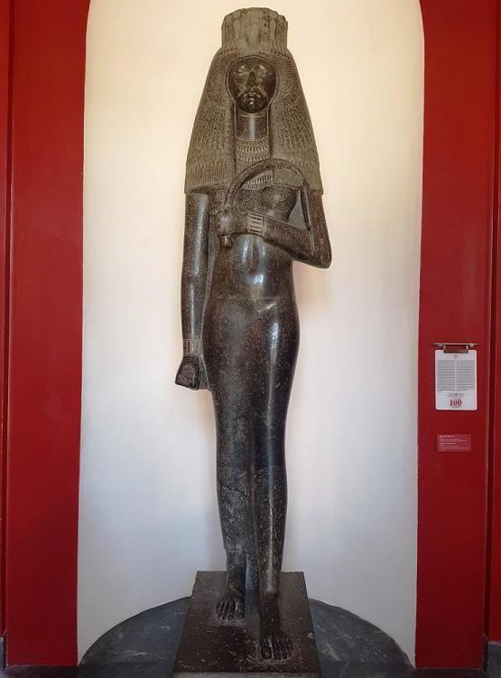 20180724_101656 v.jpg