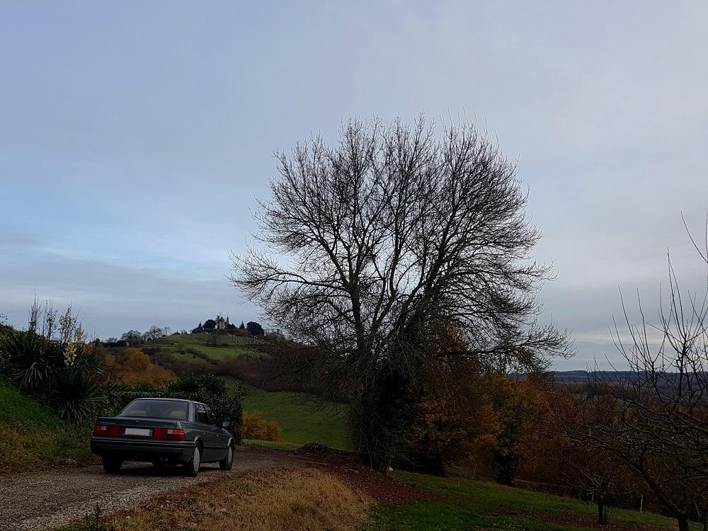 20181201_160017 v.jpg