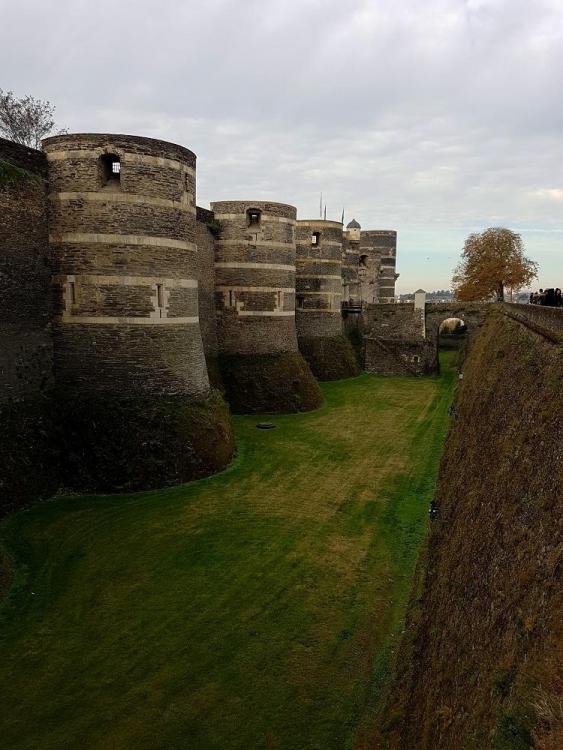 20181103_121321 v.jpg