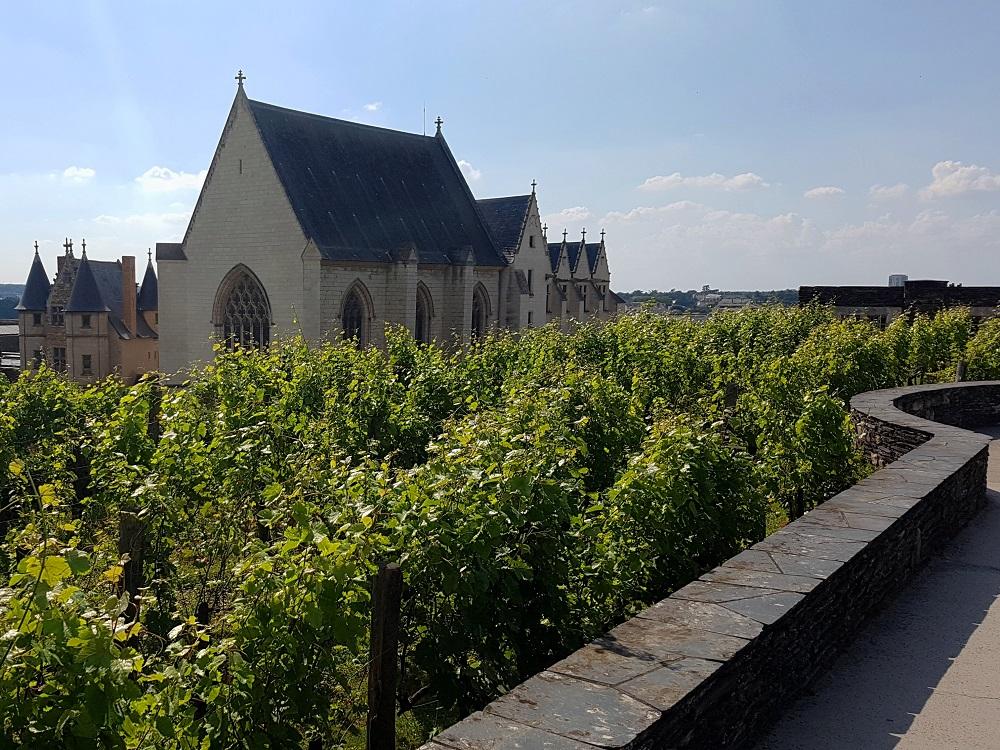 20180708_173208 v.jpg