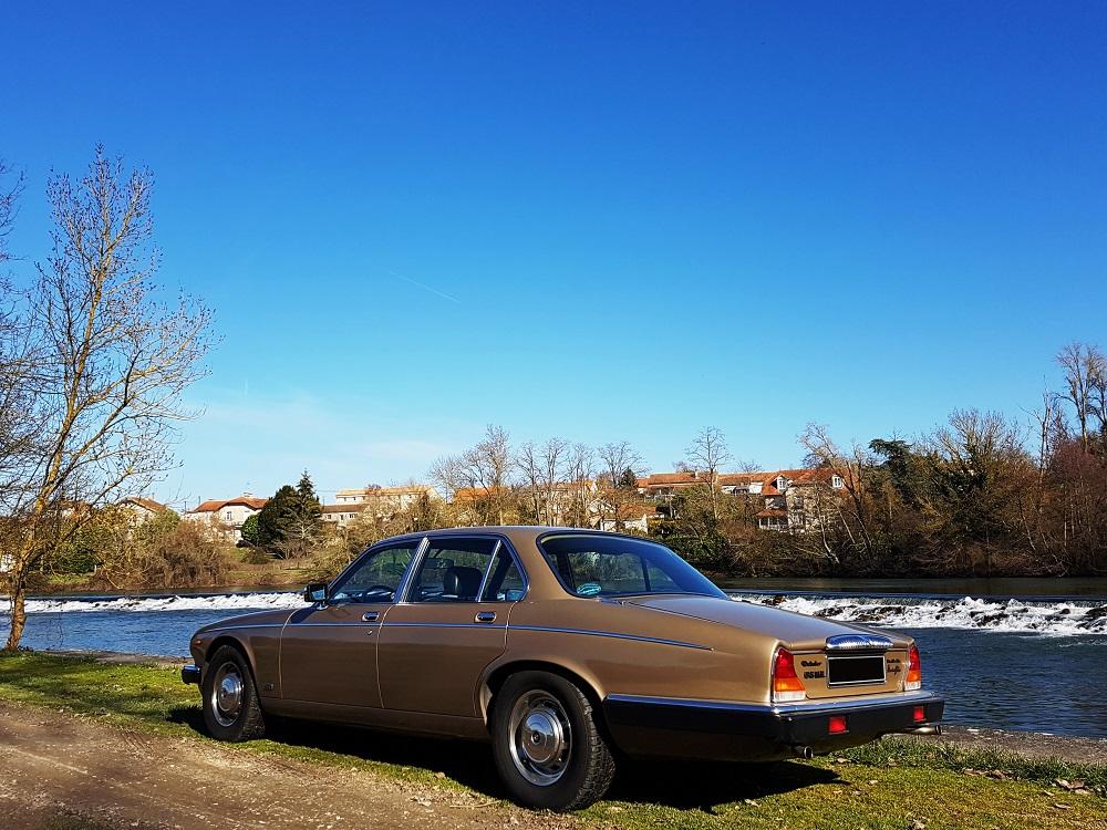 20190217_113842 v.jpg