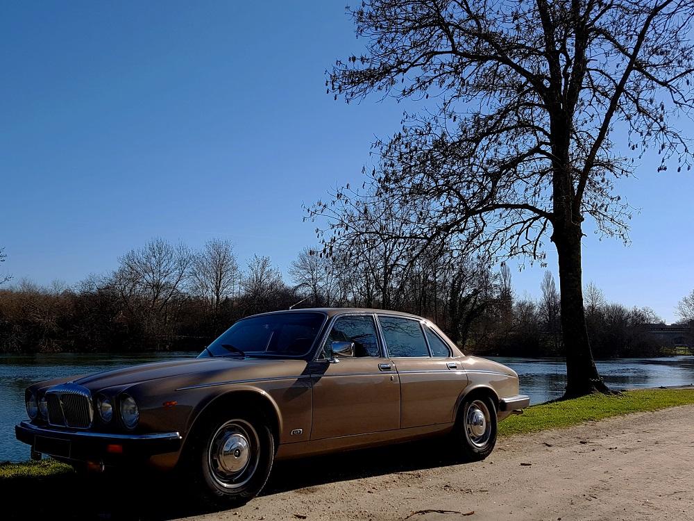 20190217_113711 v.jpg