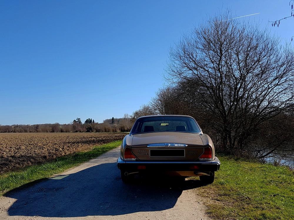 20190217_112725 v.jpg