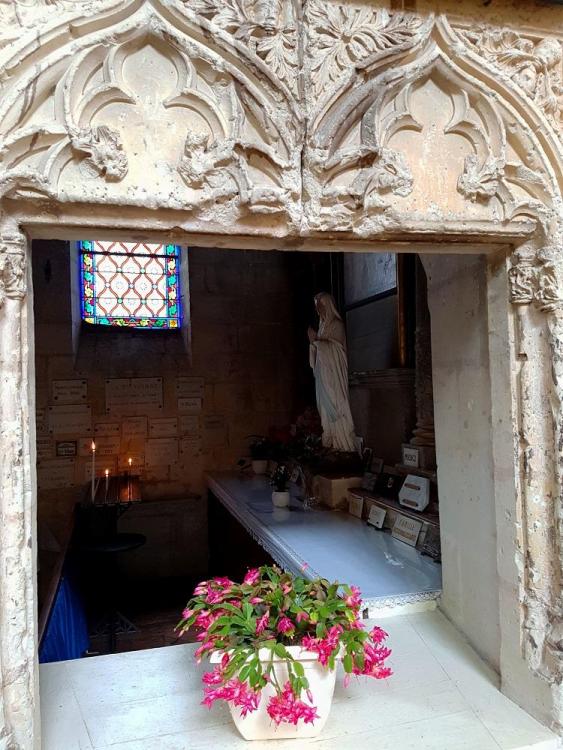 20190104_132407 v.jpg