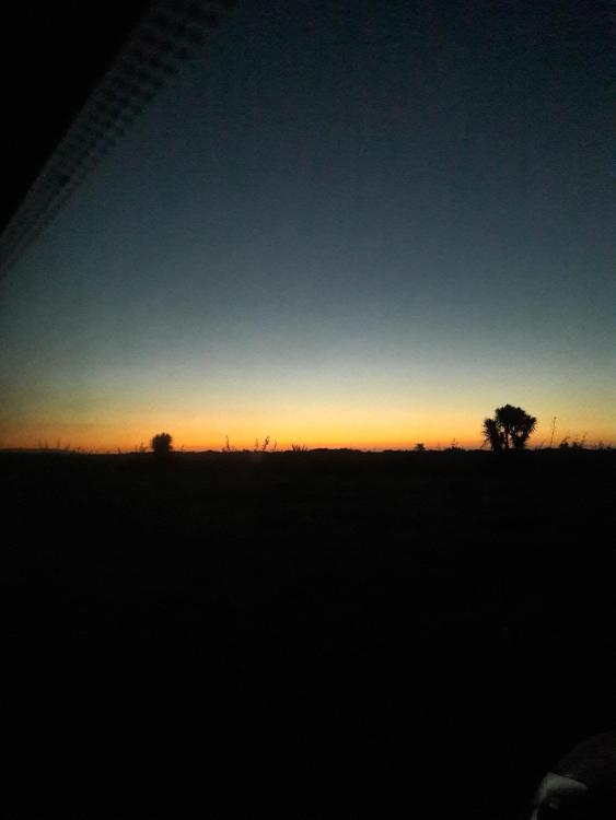 20190303_205946.jpg