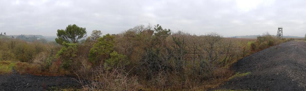 20190105_114030 v.jpg