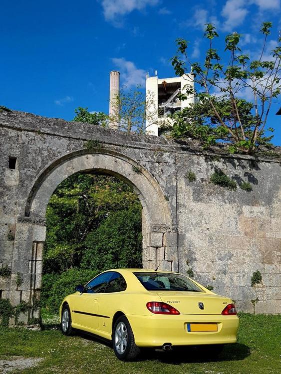 20190429_180501 v.jpg