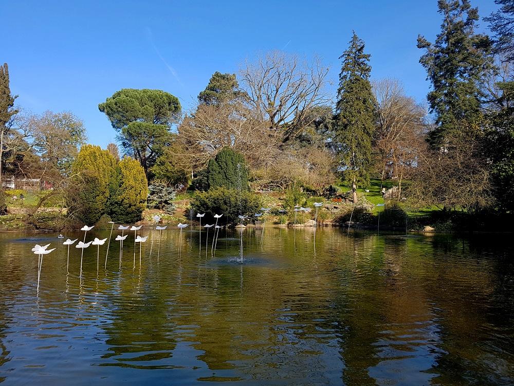 20190224_153840 v.jpg