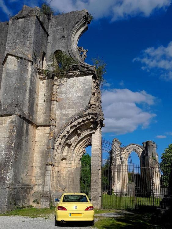 20190429_175510 v.jpg