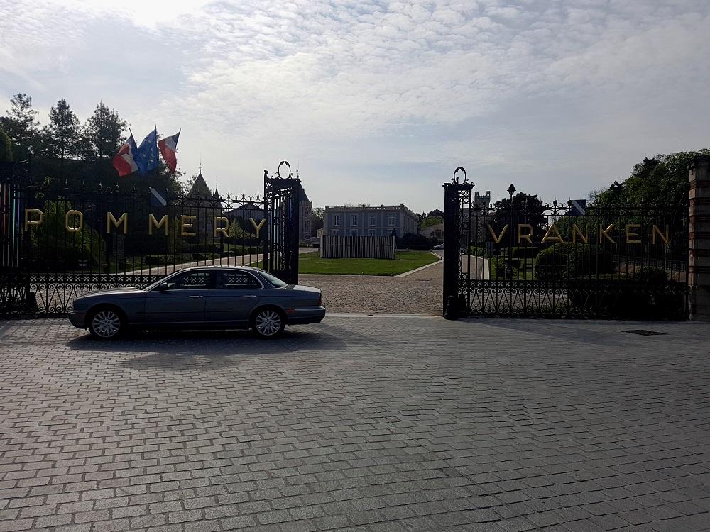 20190507_100236 v.jpg