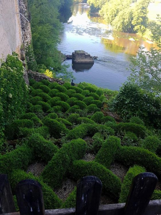 20190531_181103 v.jpg