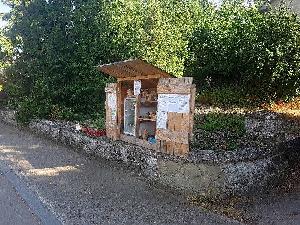 20190722_171628 v.jpg