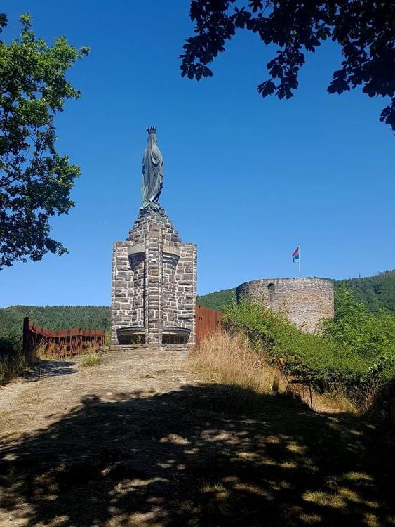 20190723_115050 v.jpg