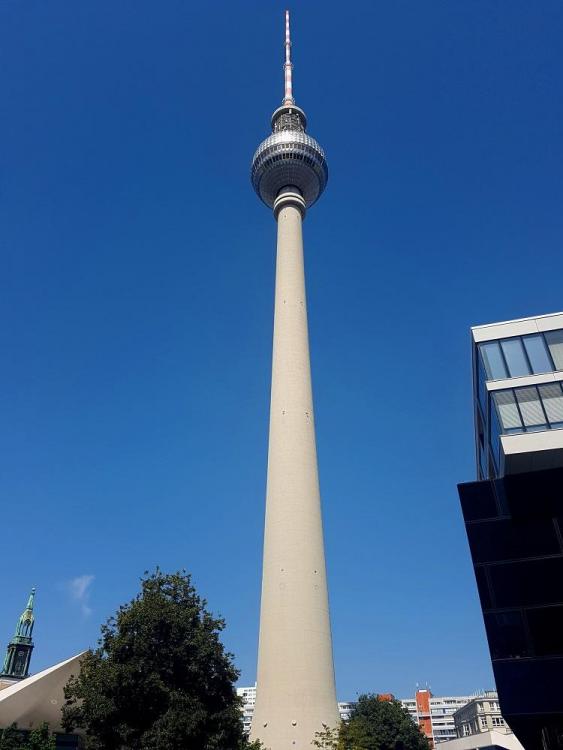 20190725_111230 v.jpg