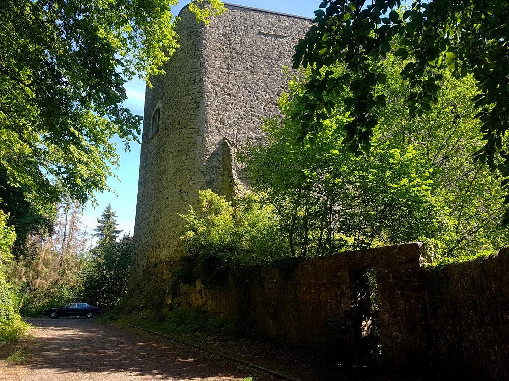20190723_102110 v.jpg