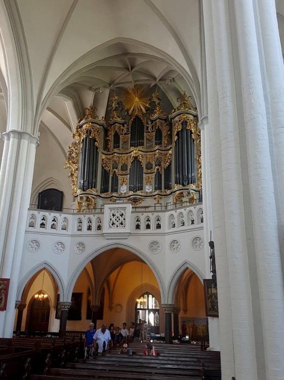 20190725_114452 v.jpg