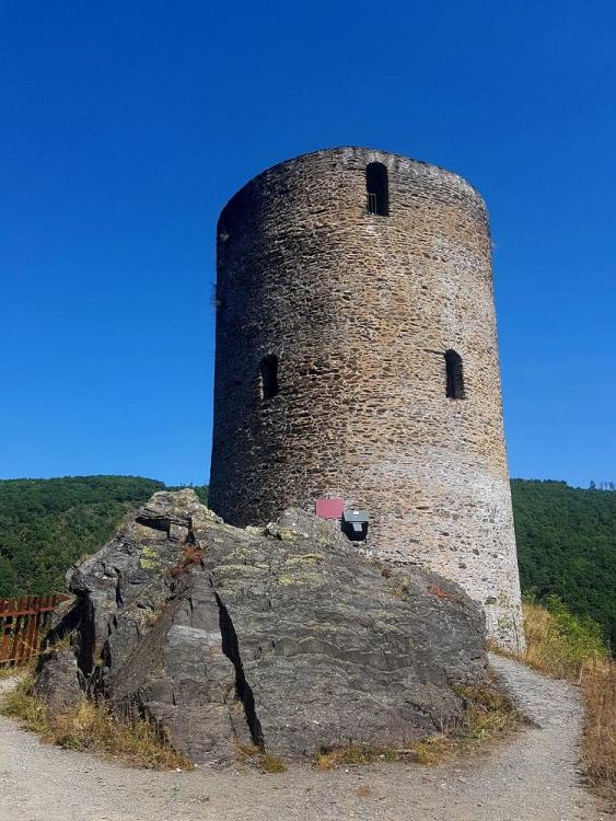 20190723_115335 v.jpg