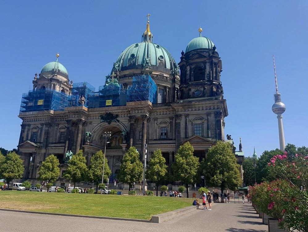 20190725_120117 v.jpg