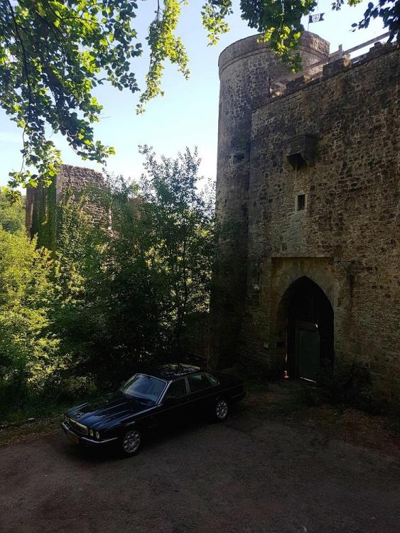 20190723_101924 v.jpg