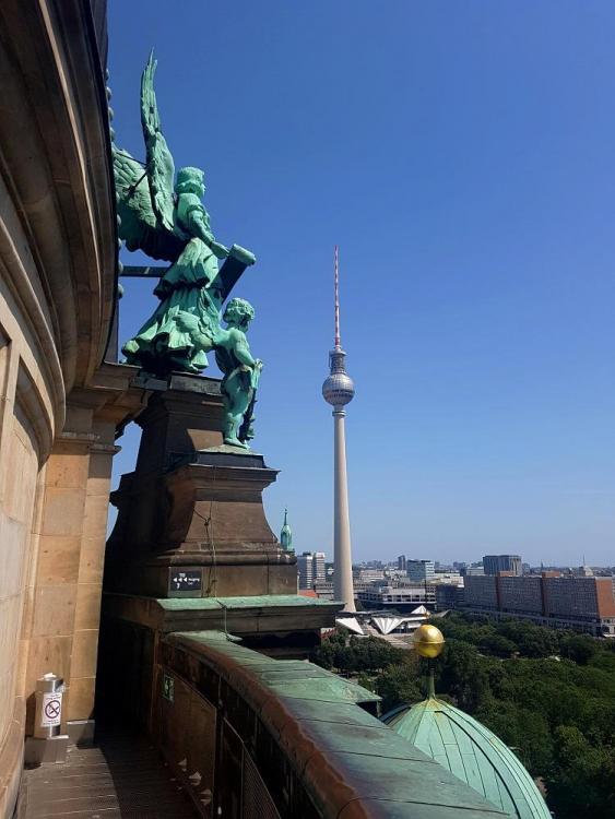 20190725_125721 v.jpg
