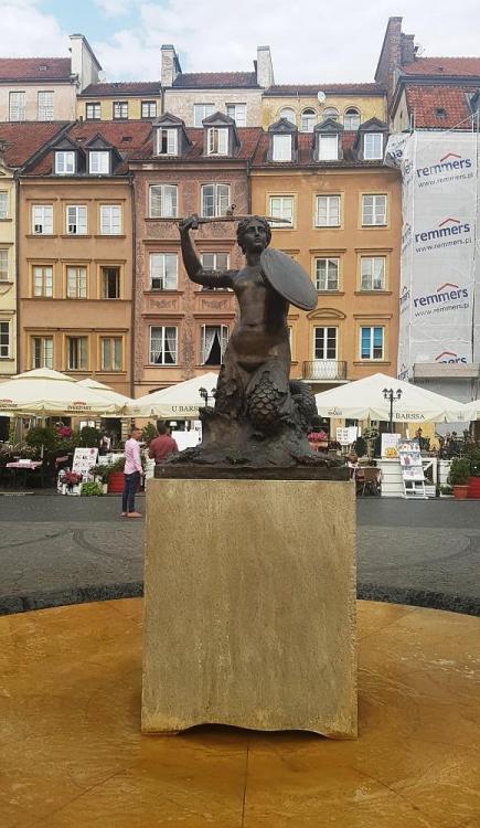 20190727_152243 v.jpg