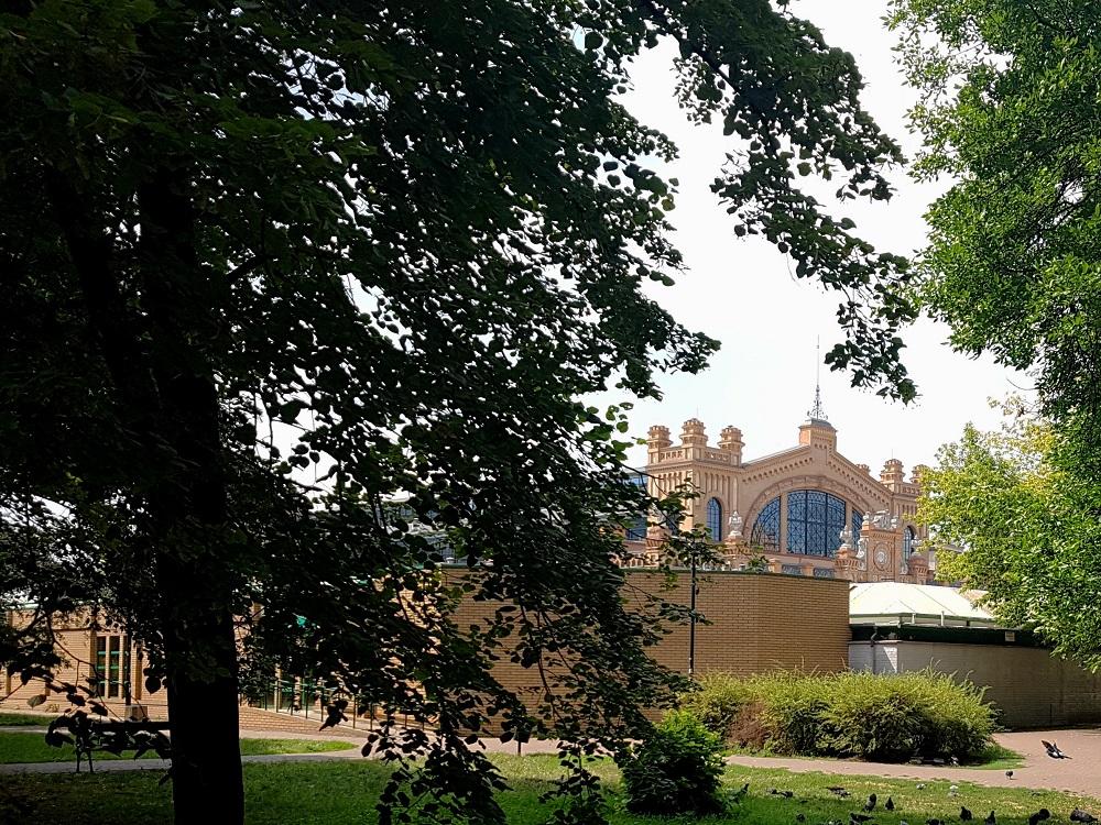 20190728_142521 v.jpg