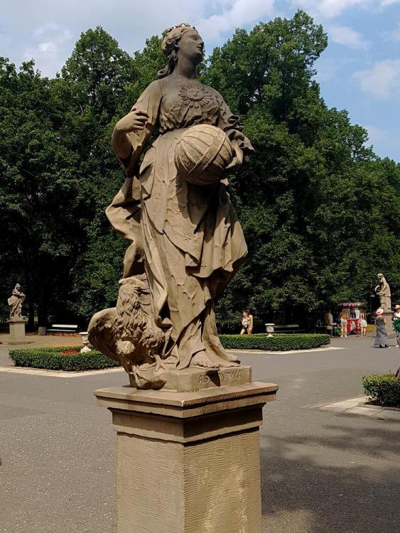20190728_140812 v.jpg