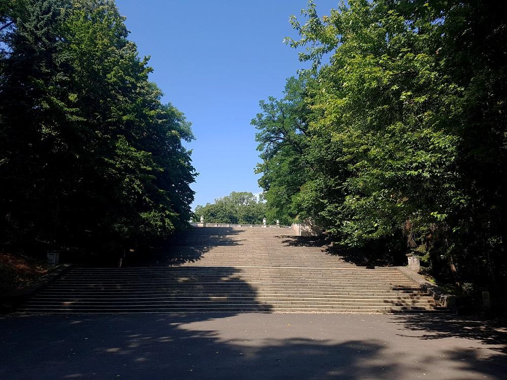 20190728_101444 v.jpg