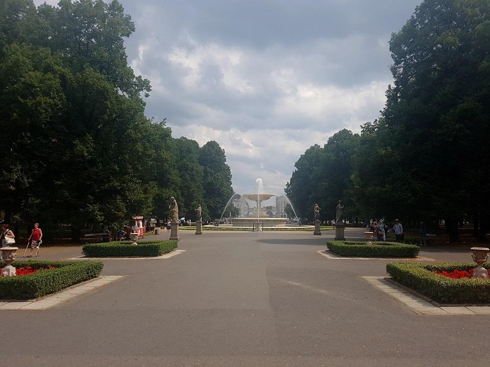 20190728_120105 v.jpg
