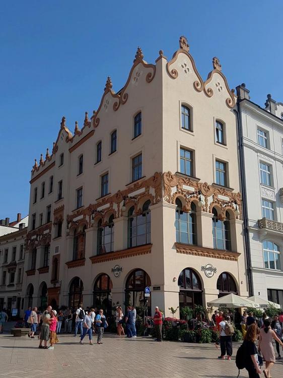 20190729_161026 v.jpg