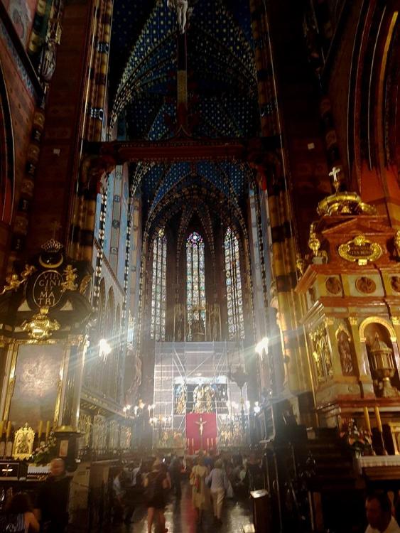 20190729_172110 v.jpg