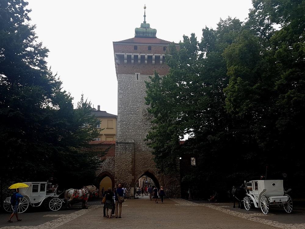 20190729_181451 v.jpg