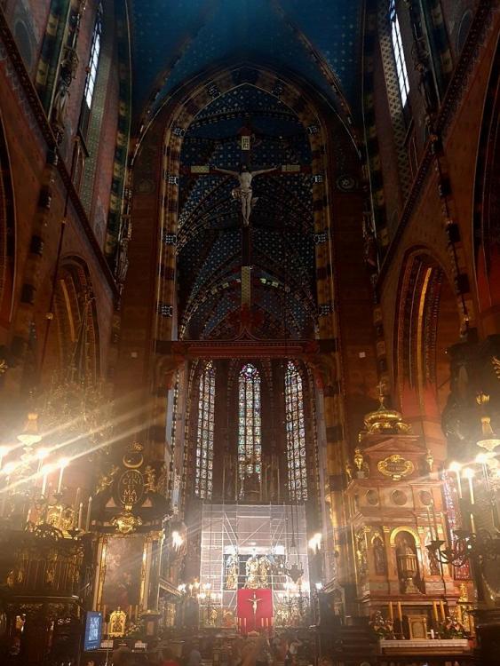 20190729_173214 v.jpg