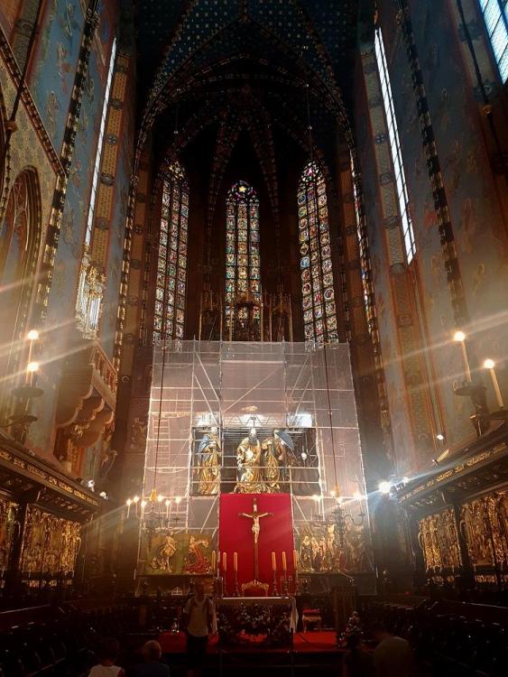 20190729_172202 v.jpg