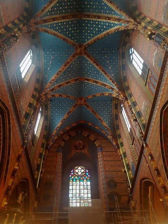 20190729_172102 v.jpg