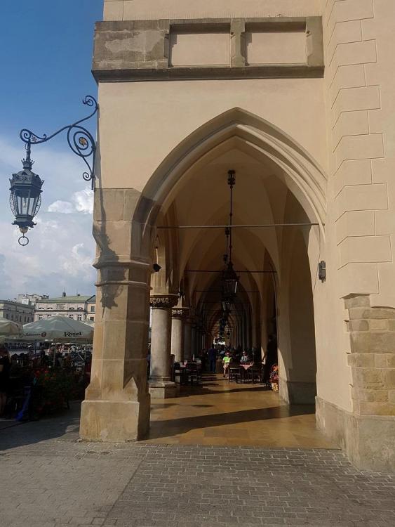 20190729_162629 v.jpg