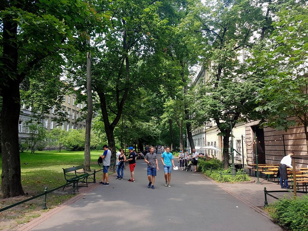 20190730_144802 v.jpg