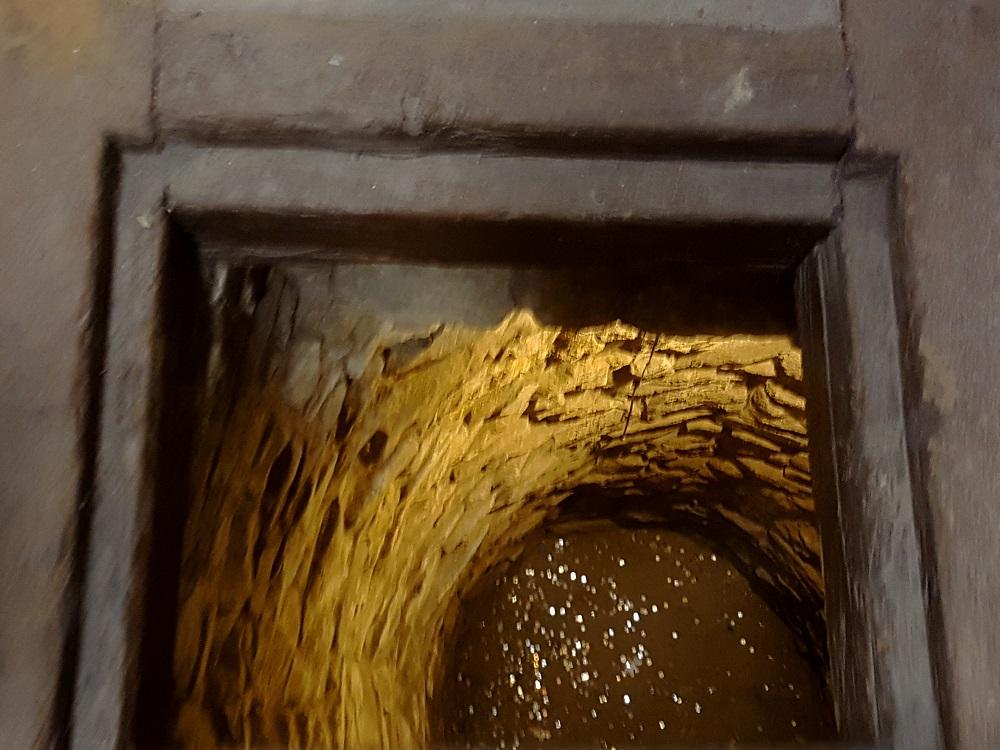 20190802_171049 v.jpg