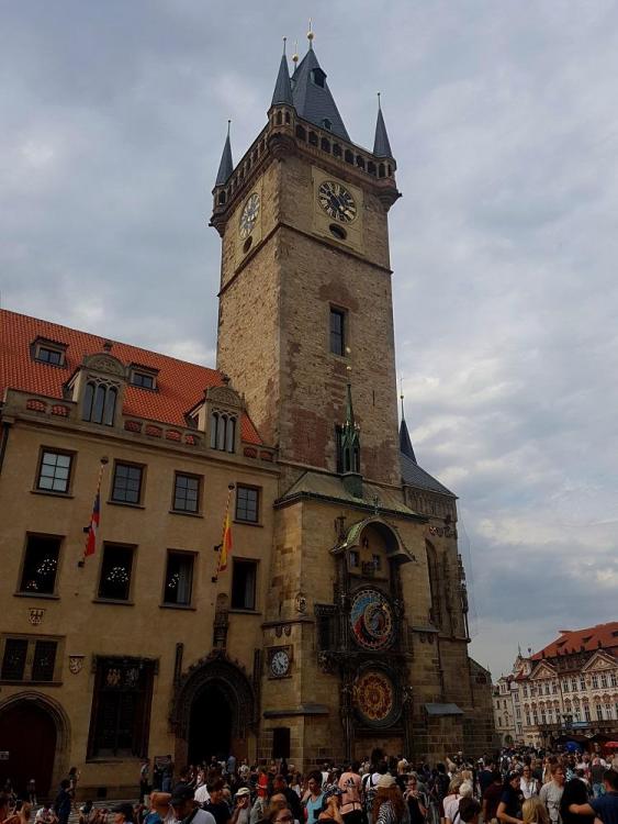 20190802_162603 v.jpg