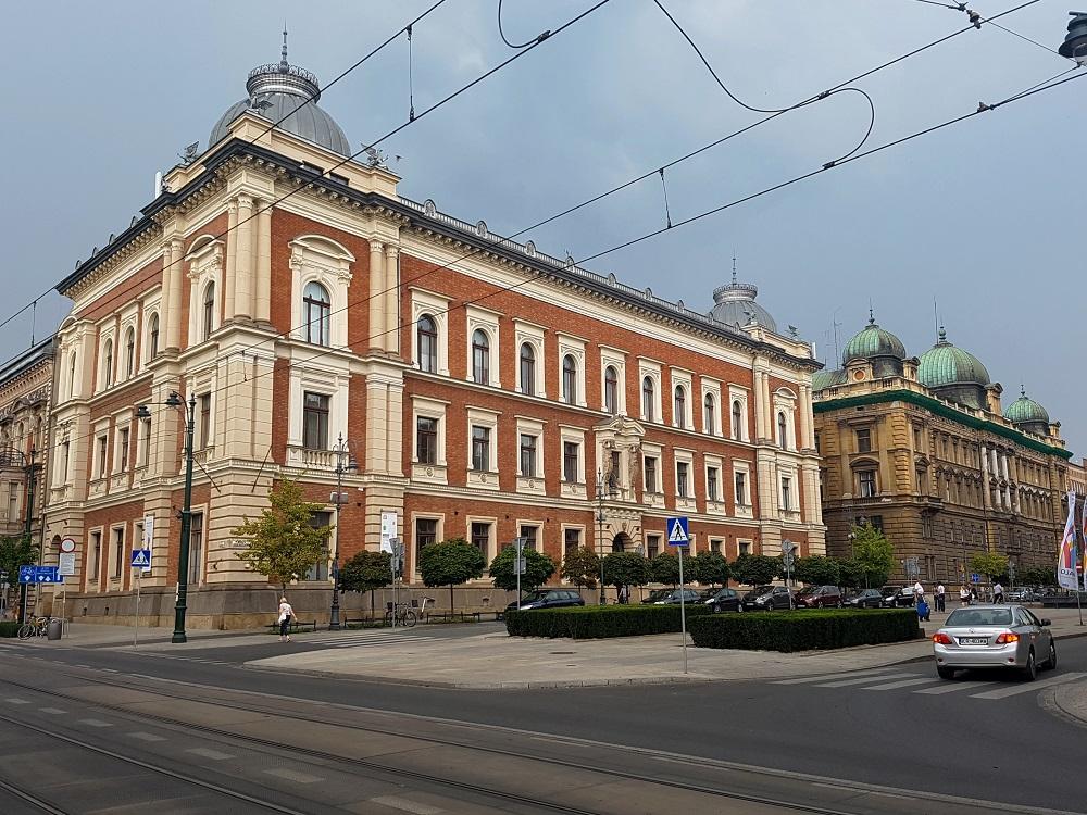 20190729_181617 v.jpg