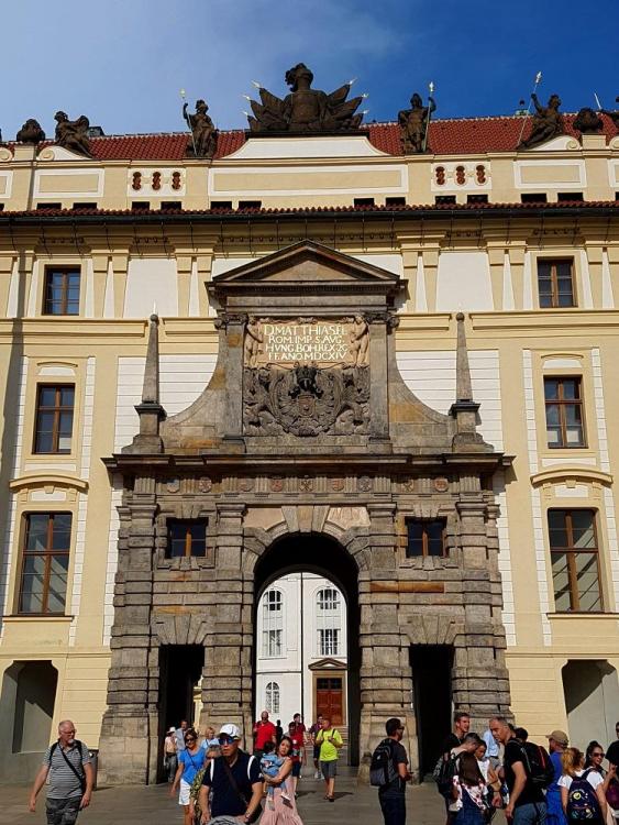 20190803_162954 v.jpg