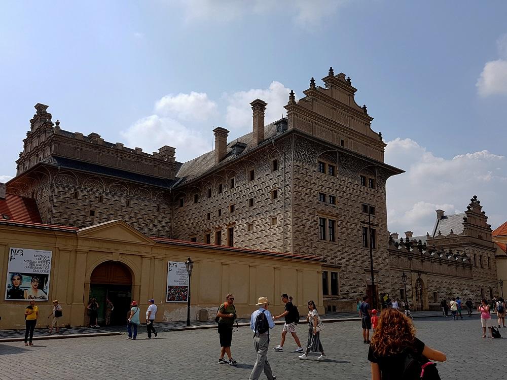 20190803_121547 v.jpg