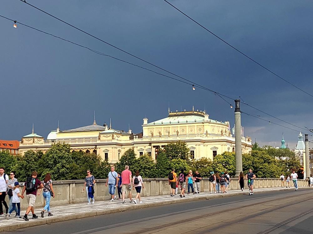 20190803_165150 v.jpg