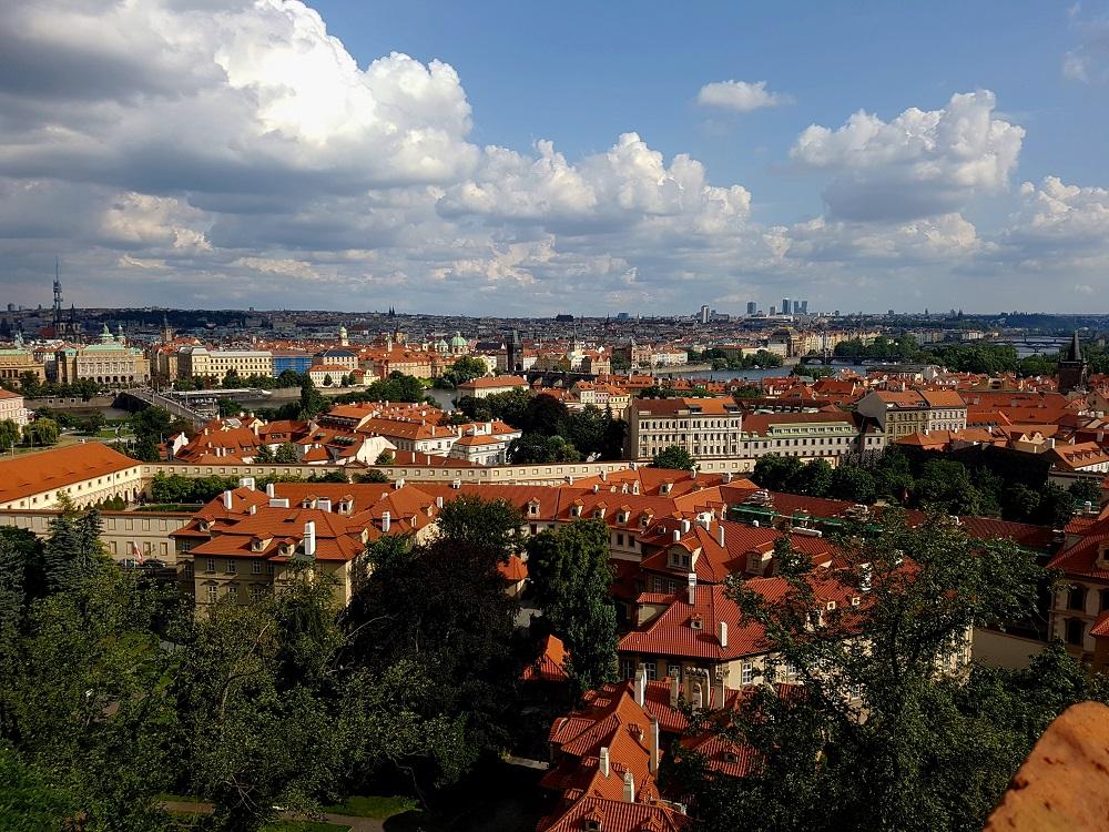 20190803_164055 v.jpg